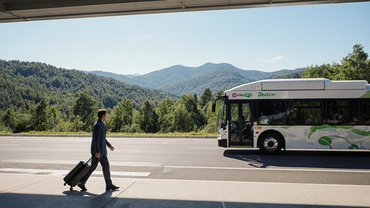 Which US State Is the Greenest? A Data‑Driven Ranking for 2025